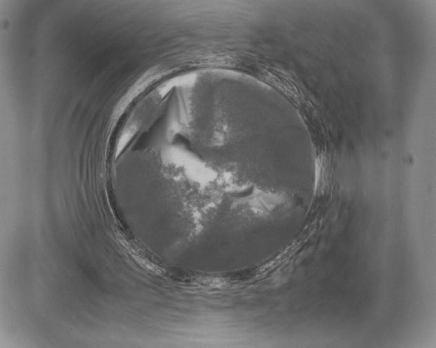 X0000081570195200702051223