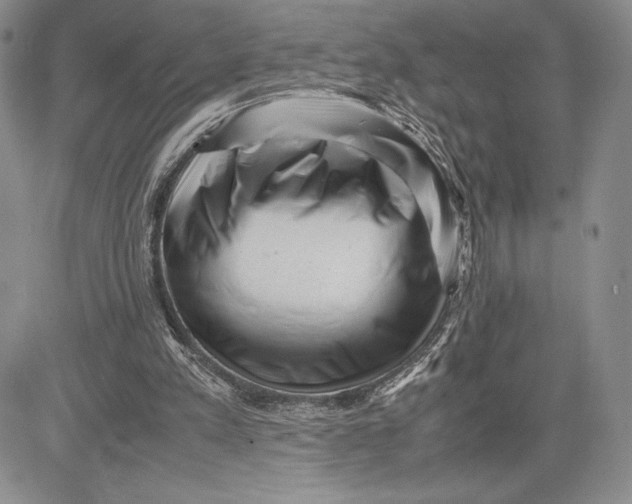 X0000081570197200702051222