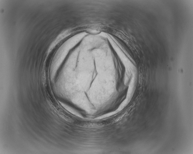 X0000081570198200702051222