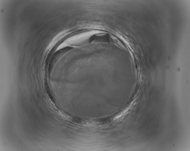 X0000081570199200702051222