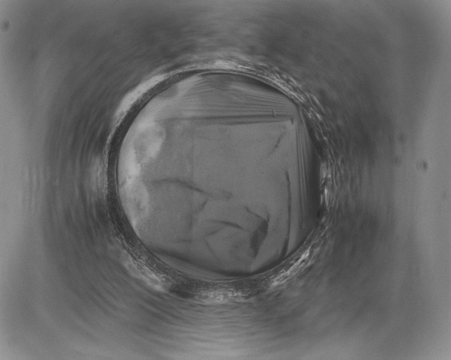 X0000081570200200702051222