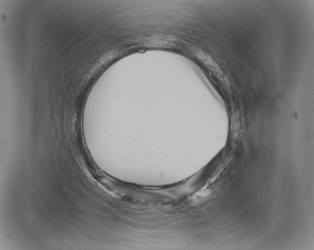 X0000081570201200702051222