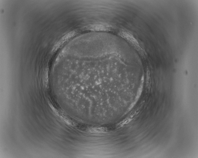 X0000081570202200702051222