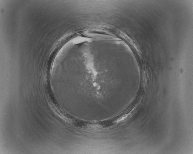 X0000081570203200702051222