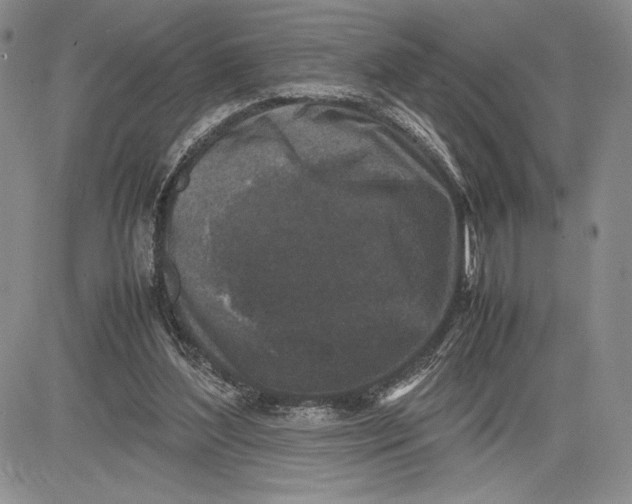 X0000081570204200702051222