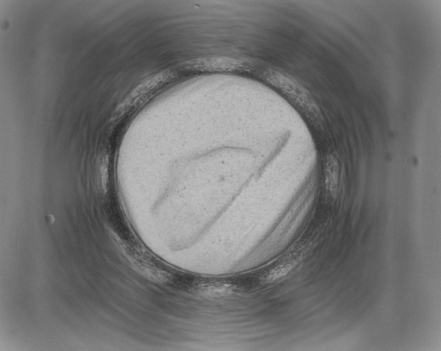 X0000081570206200702051222