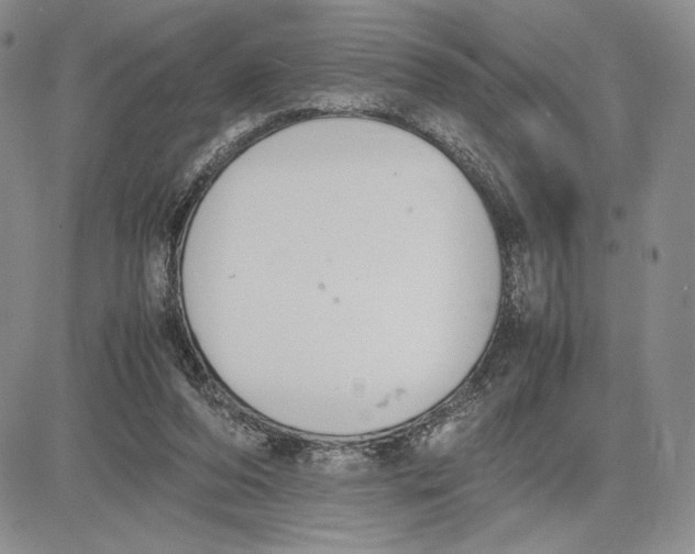 X0000081570208200702051222