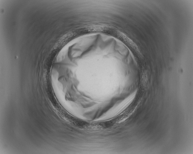 X0000081570209200702051222