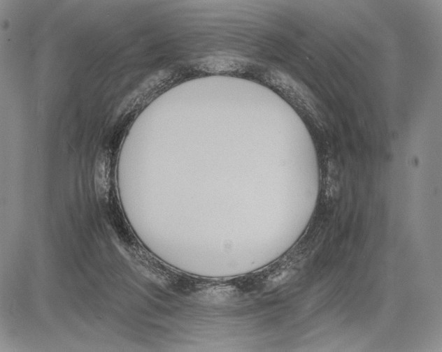 X0000081570210200702051222