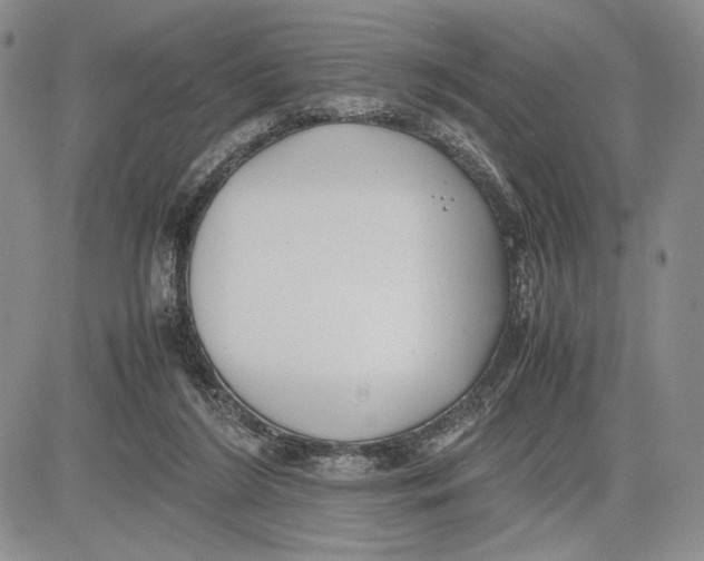 X0000081570212200702051222