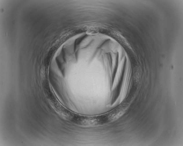 X0000081570213200702051222