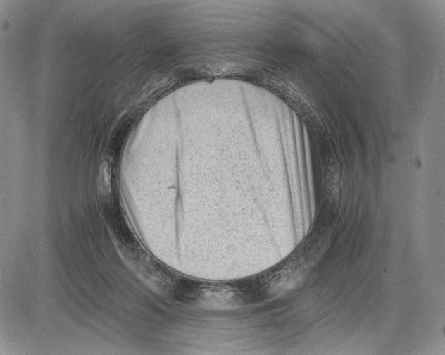 X0000081570214200702051222