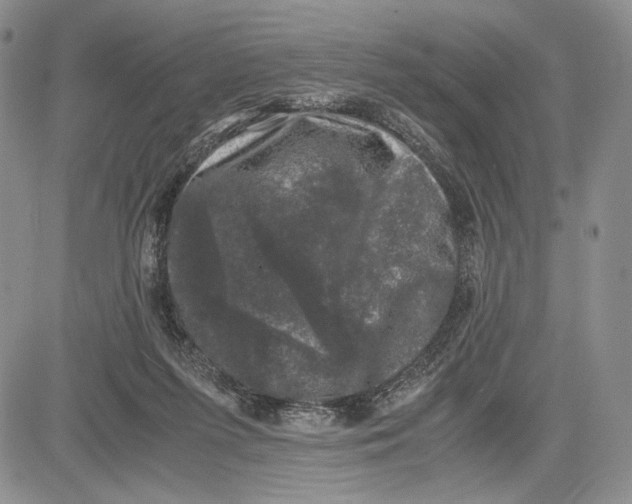 X0000081570215200702051222