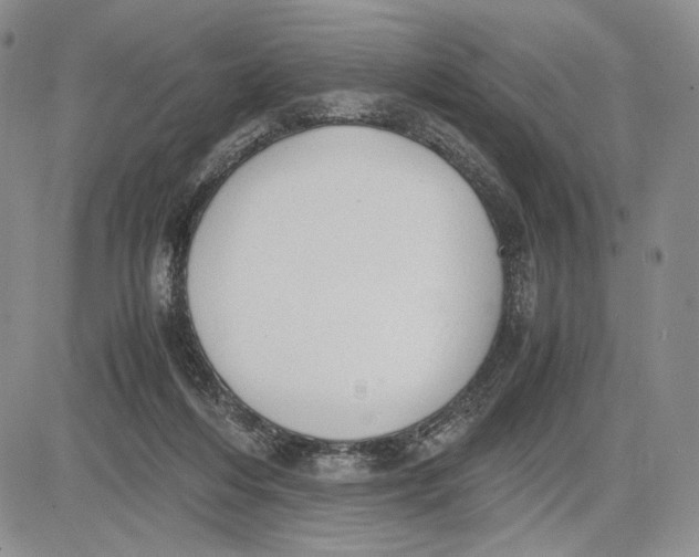 X0000081570216200702051222