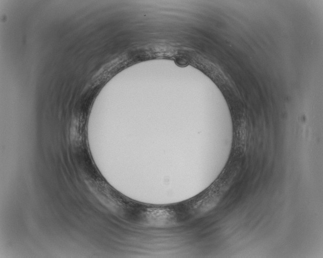 X0000081570218200702051222