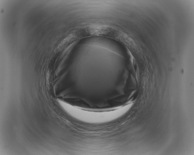 X0000081570219200702051222