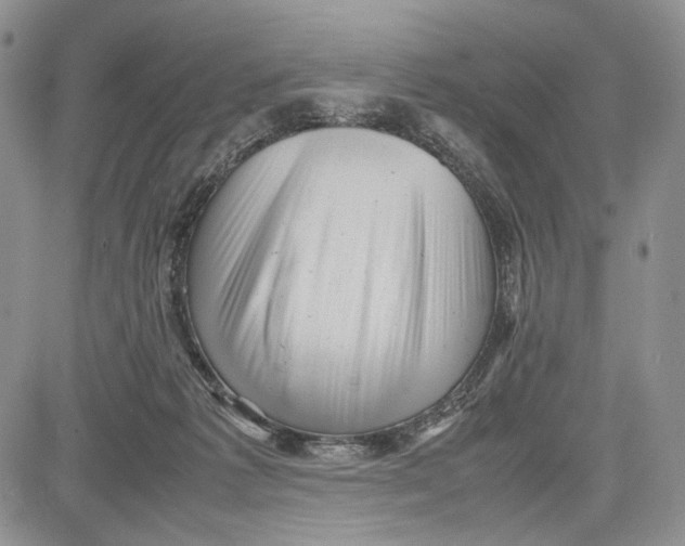 X0000081570221200702051222