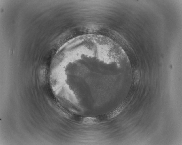 X0000081570222200702051222