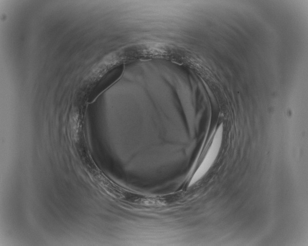 X0000081570223200702051222