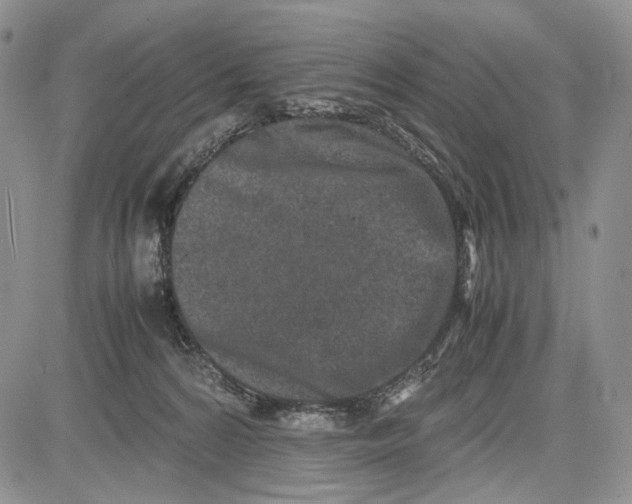 X0000081570224200702051222