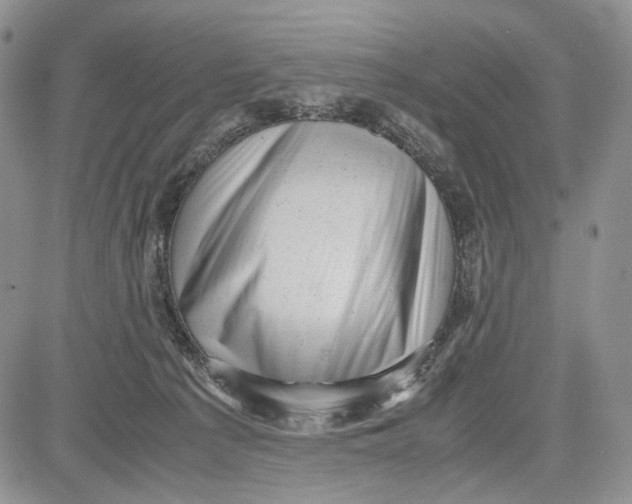 X0000081570225200702051222