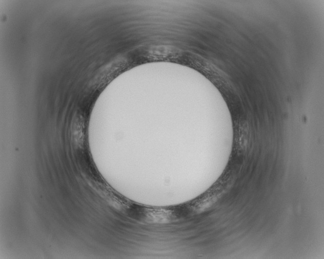 X0000081570226200702051222