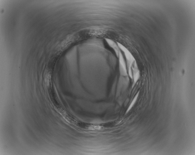 X0000081570227200702051222