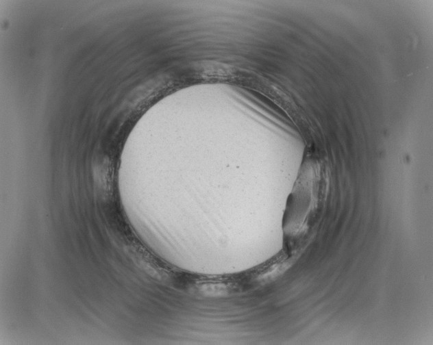 X0000081570228200702051222