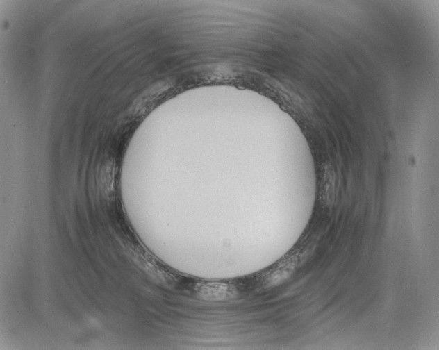 X0000081570230200702051222