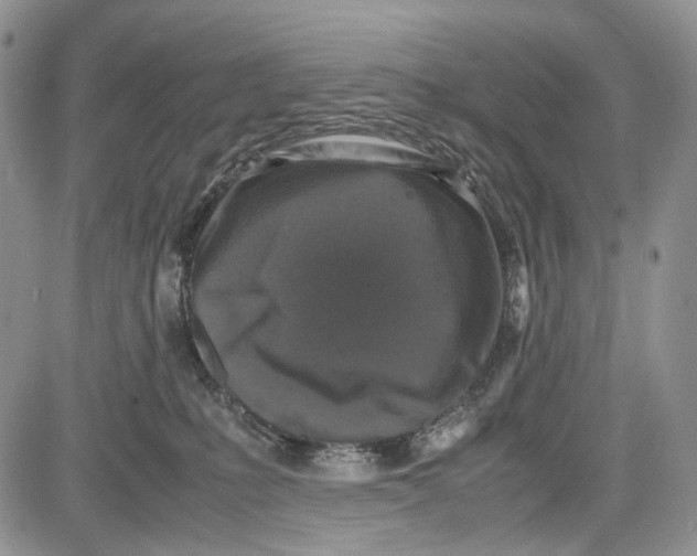 X0000081570231200702051222