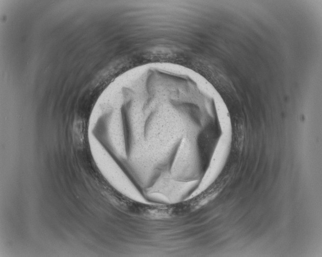 X0000081570232200702051222