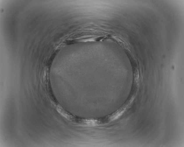 X0000081570233200702051222