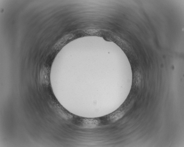 X0000081570234200702051222