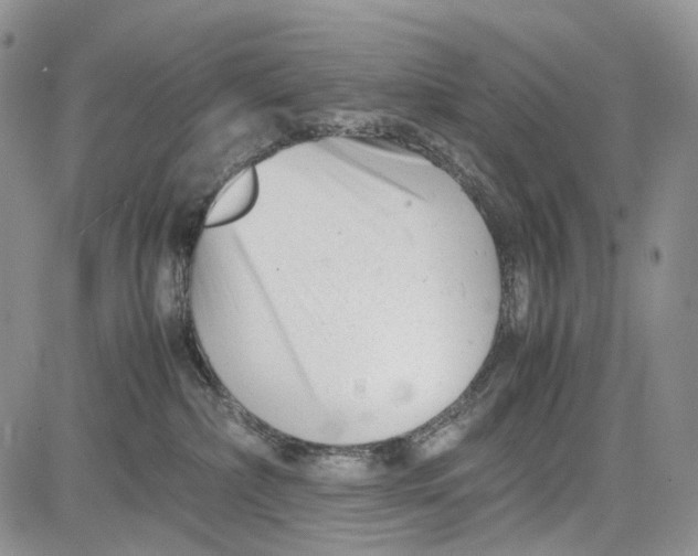 X0000081570236200702051222