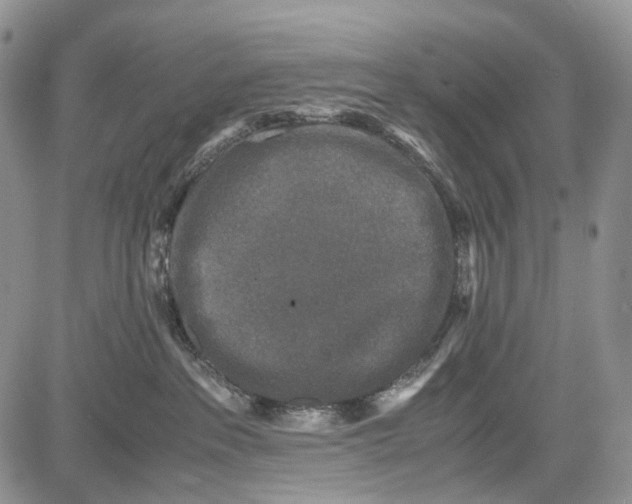 X0000081570237200702051222