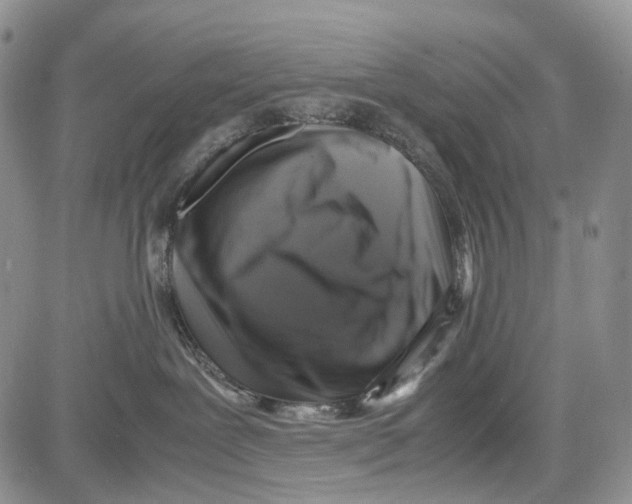 X0000081570239200702051222