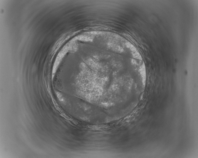 X0000081570241200702051221