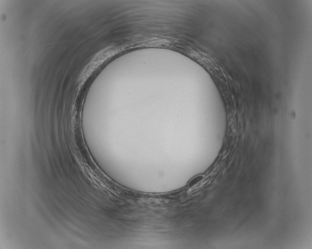 X0000081570242200702051221