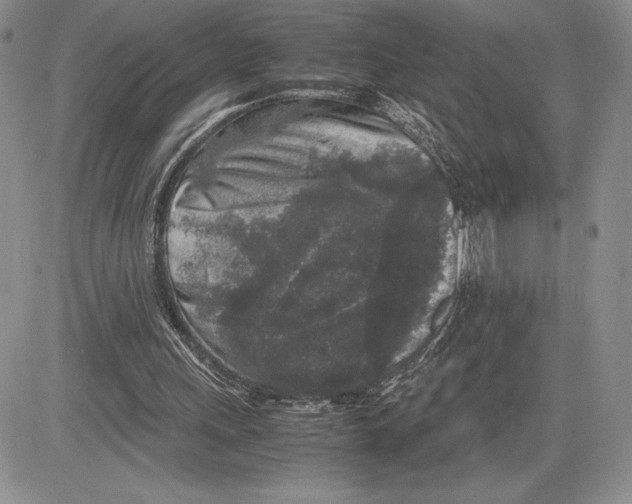 X0000081570243200702051221