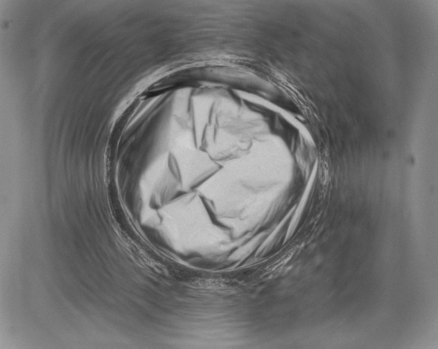 X0000081570244200702051221