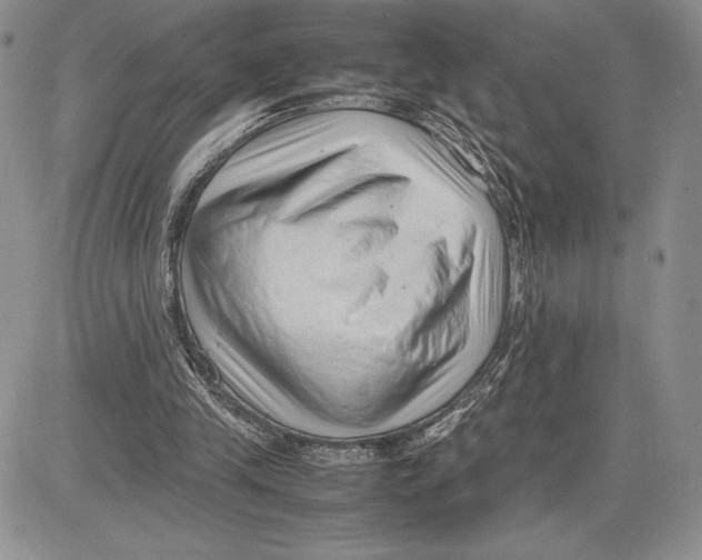 X0000081570245200702051221