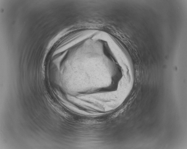 X0000081570246200702051221