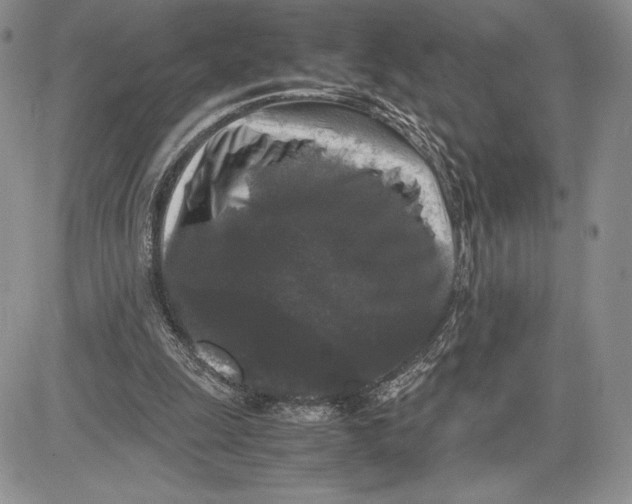 X0000081570247200702051221