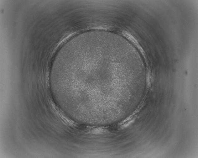 X0000081570249200702051221