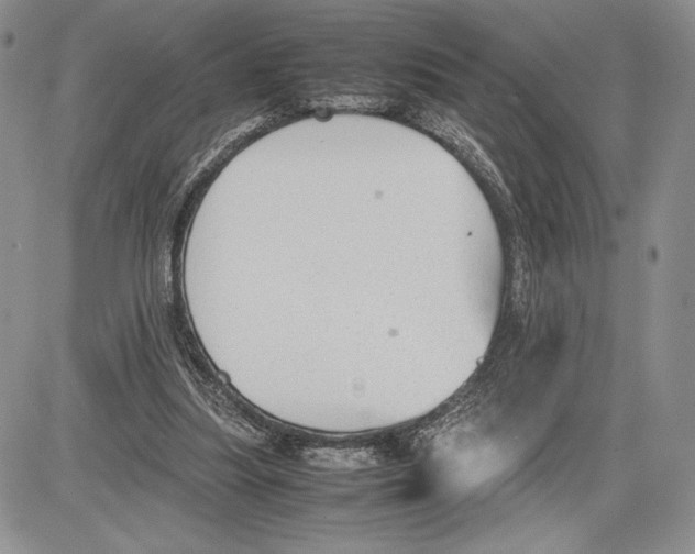 X0000081570251200702051221