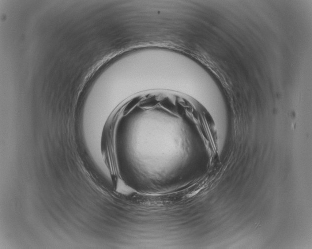 X0000081570252200702051221