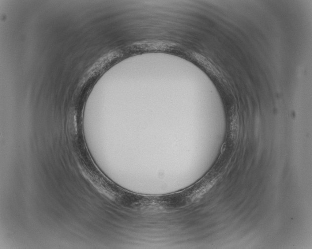 X0000081570254200702051221