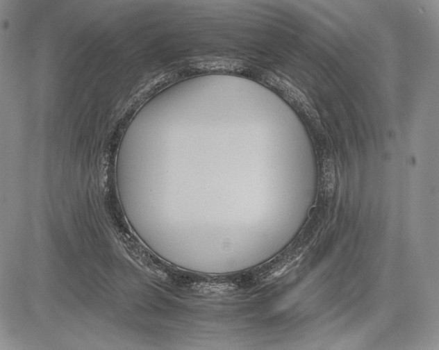 X0000081570255200702051221