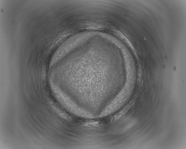 X0000081570257200702051221