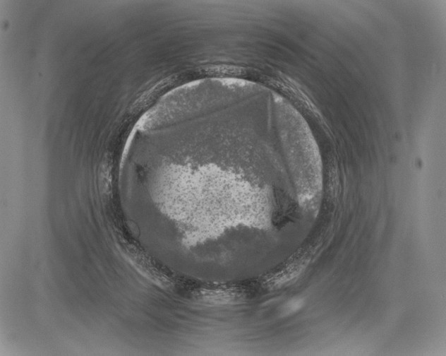 X0000081570259200702051221